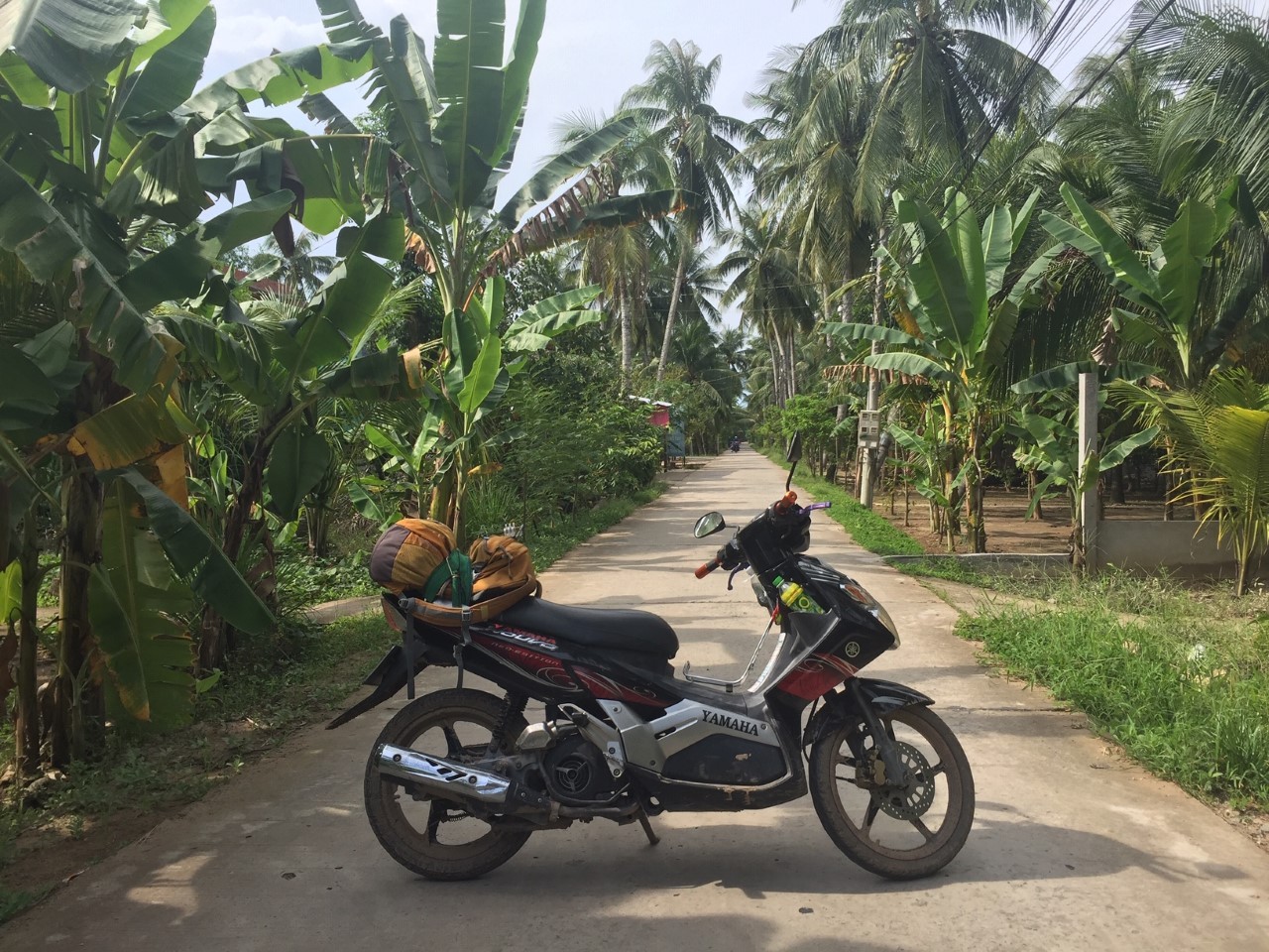 Mekong Delta Bike Tour (Mekong River, Vietnam)
